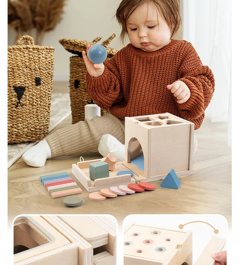 Montessori 4-in-1 Wooden Color Sorting & Shape Matching Box for Toddlers