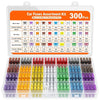A clear plastic storage case containing a large assortment of car fuses categorized by micro, mini, and standard sizes.
