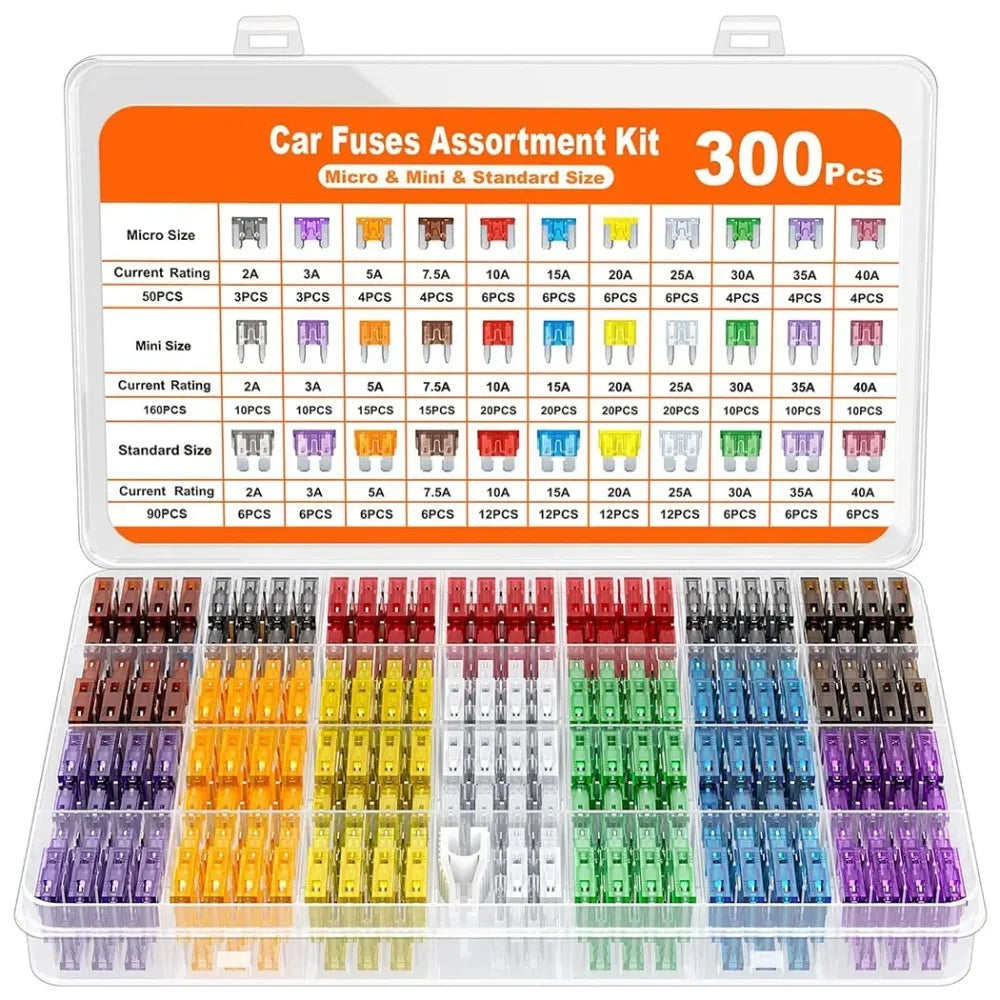 A clear plastic storage case containing a large assortment of car fuses categorized by micro, mini, and standard sizes.