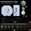Comparison of high quality LEDs versus ordinary light, showing longevity tests for a work light product.