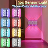 Smart Motion-Sensor LED Wall Light