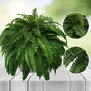 Lifelike Artificial Boston Fern with 21 Detailed Leaves