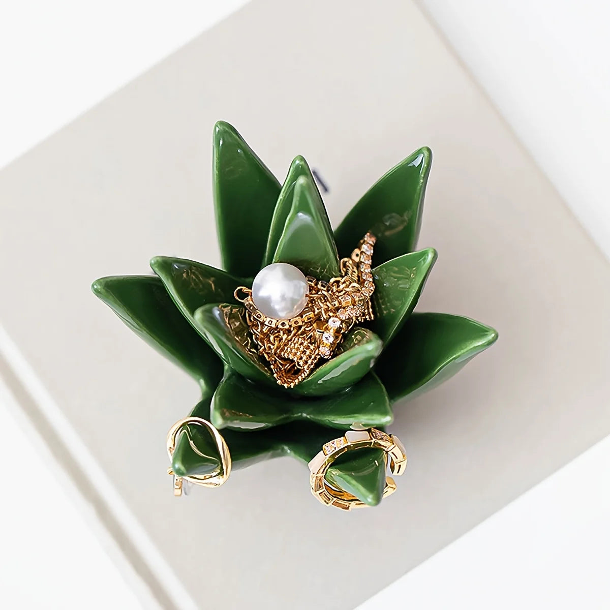 Ceramic Aloe Vera Jewelry Organizer with Ring Holder