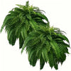 Lifelike Artificial Boston Fern with 21 Detailed Leaves