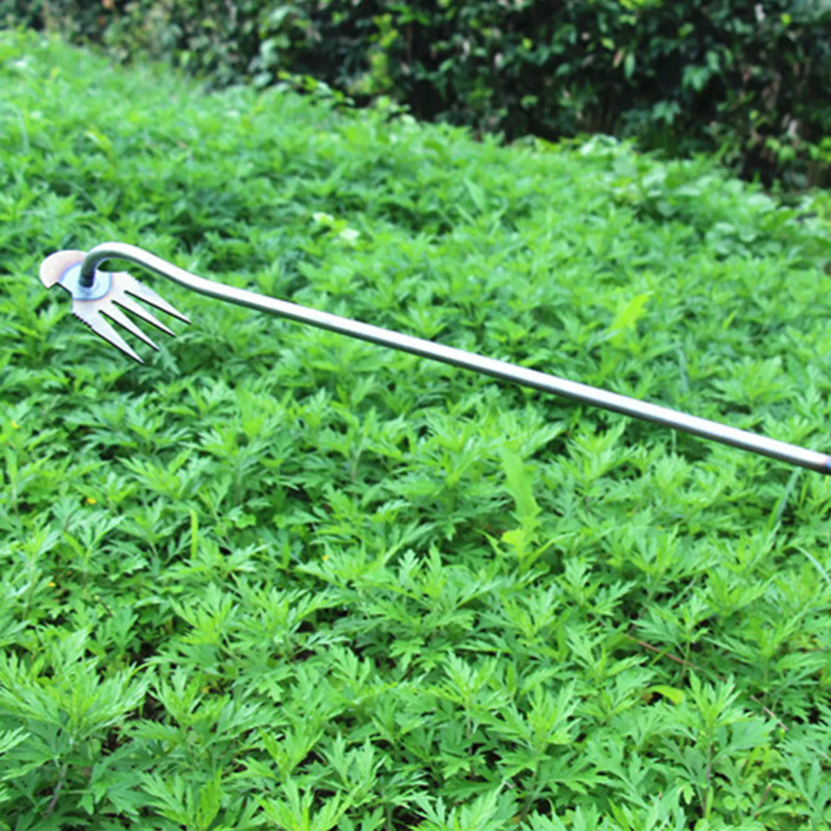 A stainless steel gardening hook with a fork end and a long handle is shown against a background of green foliage.