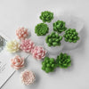 A set of silicone molds shaped like various green and pink succulent flowers for DIY crafts.