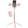 Selfie Stick Tripod with Ring Light and Wireless Remote
