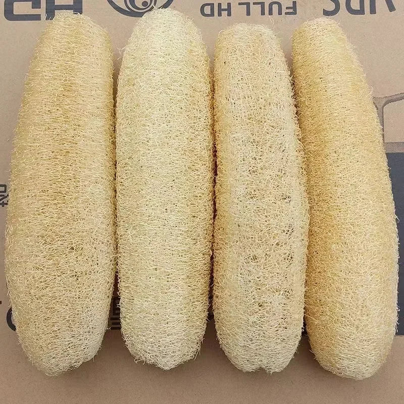 Four cylindrical natural loofah body scrubbers with hanging ropes displayed side by side.