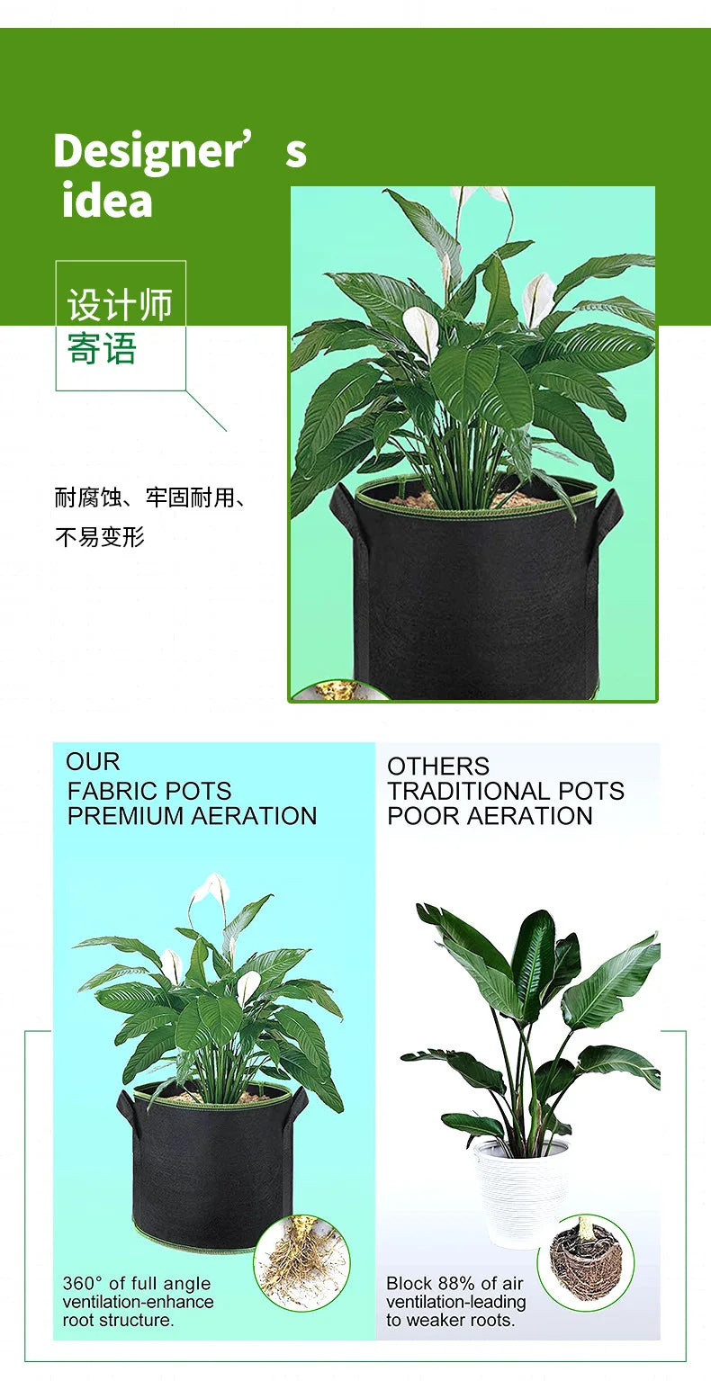Black fabric grow bag containing a plant with large green leaves and white flowers.
