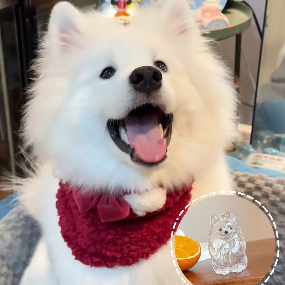 A white fluffy dog wearing a red collar and bow, looking happy.
