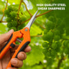 A hand holds an orange and black stainless steel pruning shear with a sharp blade, positioned near green grapes on a vine.
