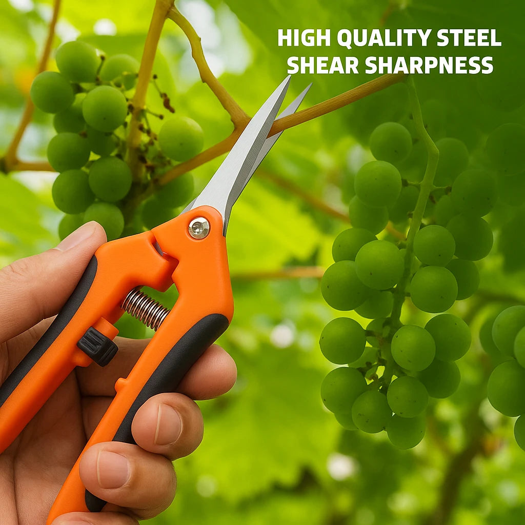 A hand holds an orange and black stainless steel pruning shear with a sharp blade, positioned near green grapes on a vine.