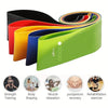 5-Level Resistance Band Set for Strength & Flexibility Training