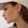 18K Gold Plated Stainless Steel Hoop Earrings
