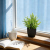 Realistic Mini Eucalyptus Potted Plant with Black Pot