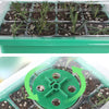 Seed Starter Tray with LED Grow Light and Humidity Dome