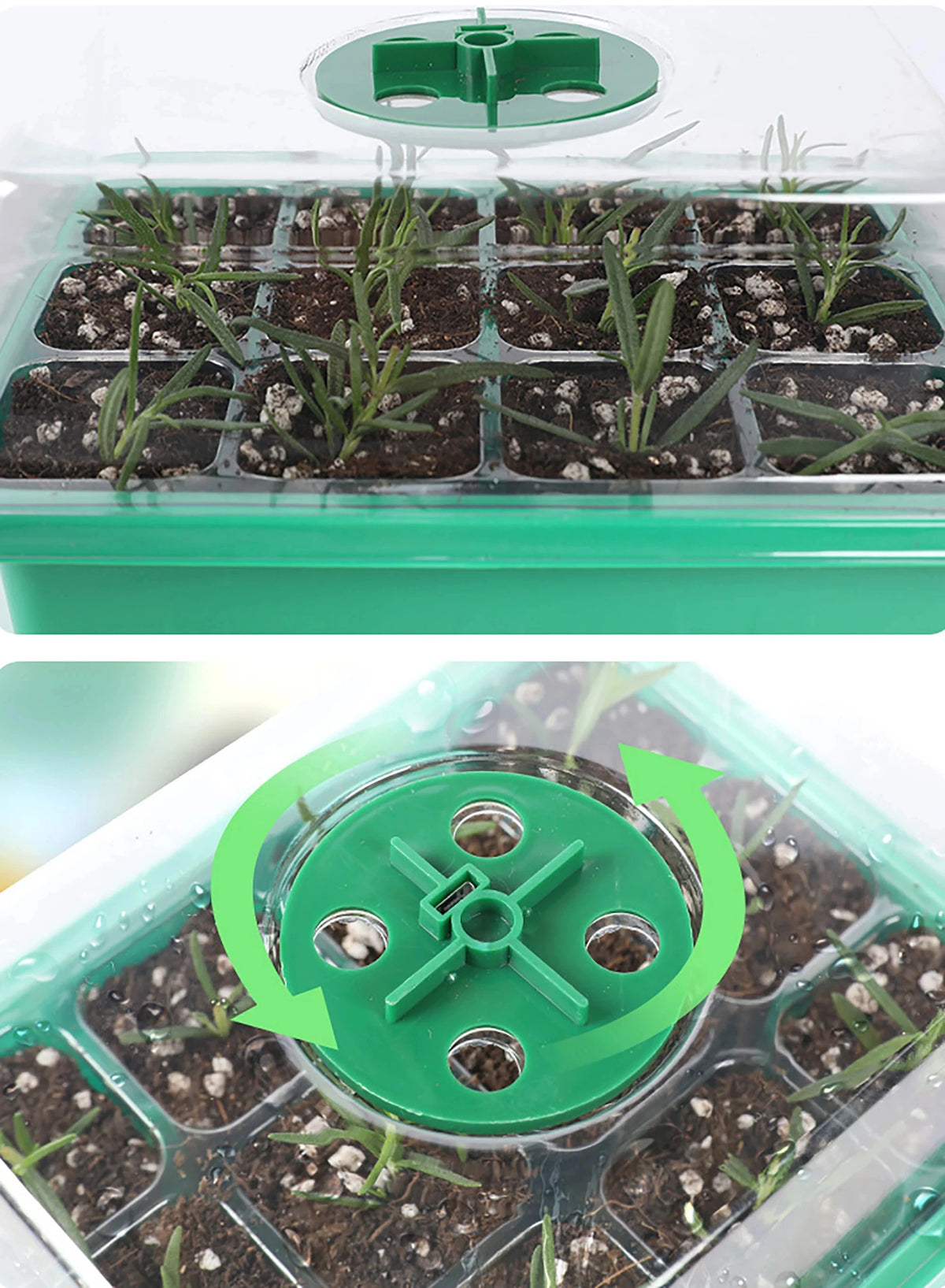 Seed Starter Tray with LED Grow Light and Humidity Dome