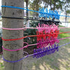 Portable Retractable Travel Clothesline with 12 Clothespins