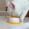 Interactive Pet Lick Mat for Slow Feeding