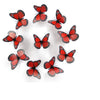 A collection of ten realistic red and black monarch butterfly magnets and adhesive decor
