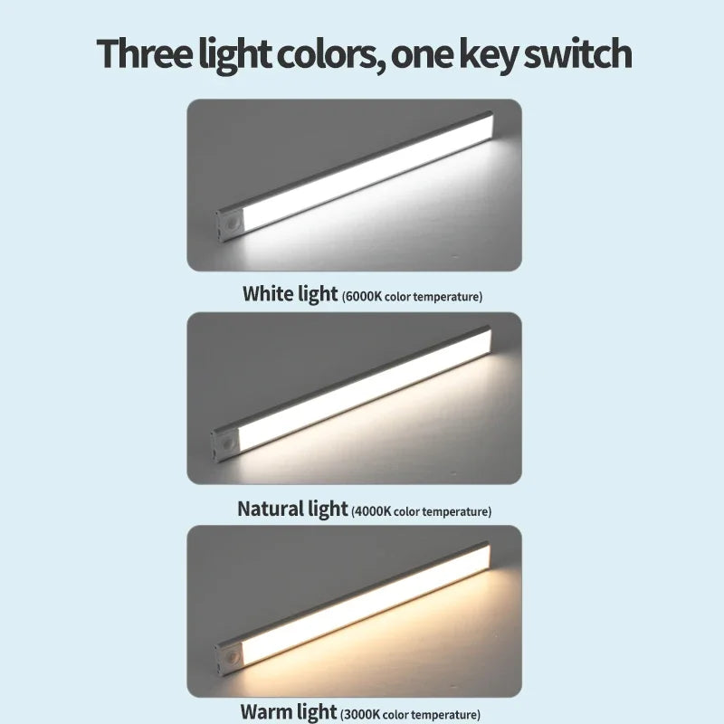Three light colors white natural and warm light shown as LED strips