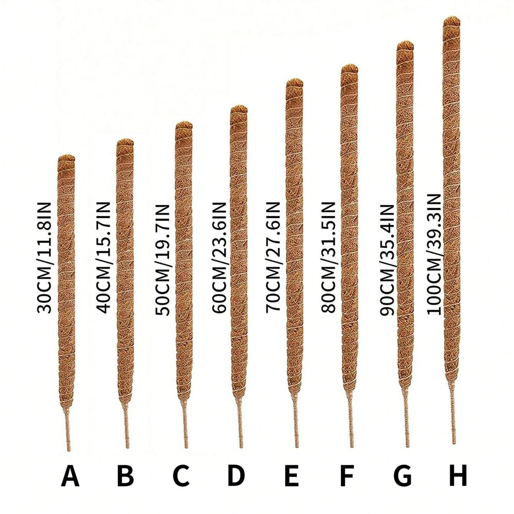 A series of natural coir moss poles for climbing plants, labeled A through H by diameter.