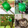 A reusable plant rooting ball with a hinged green lid is shown attached to a branch and a close-up of the root ball.