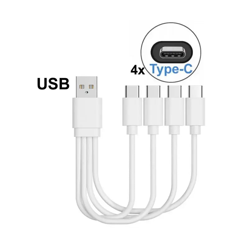 4-in-1 Multi-Charging Cable (20cm)