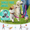 Dual Dog Leash with Shock-Absorbing Bungee