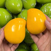 Color-Changing Mango Stress Ball with Crunchy Texture