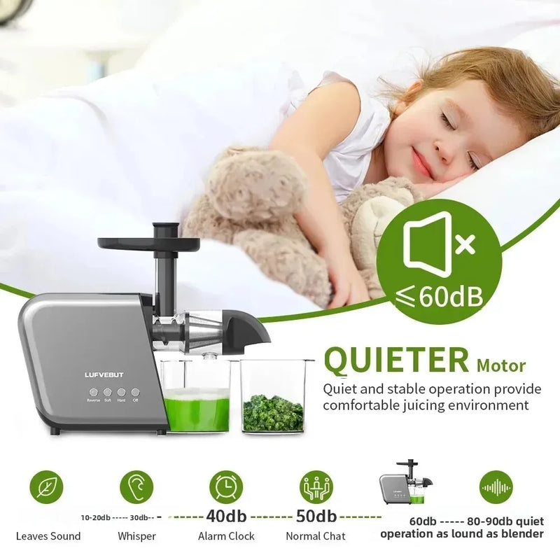 250W Cold Press Slow Juicer