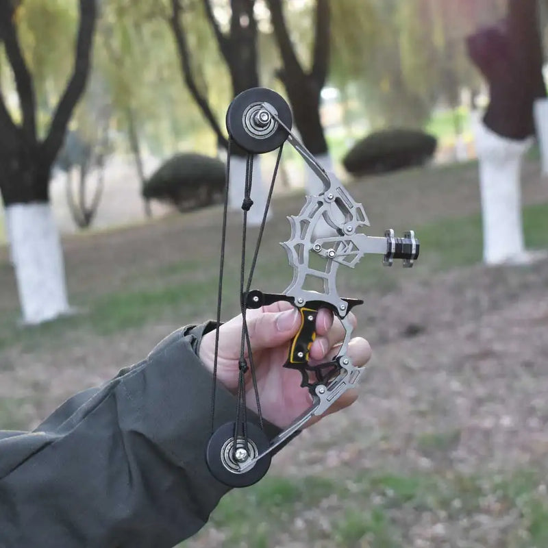 Compact Metal Compound Bow Set