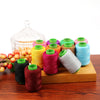 Premium Polyester Sewing Thread Spool - 300m, 24 Colors
