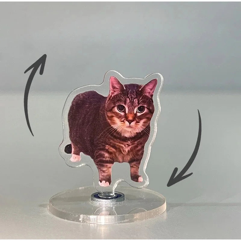A small, dark brown tabby cat figure mounted on a clear acrylic base, designed to spin.