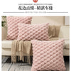 Decorative Plush Throw Pillow Cover