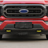Close-up of a red Ford F-150 front bumper with a black TESIN tow hook cover installed.