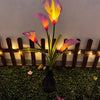 A single vibrant orange and pink calla lily flower is illuminated by a solar-powered LED light in a garden setting.