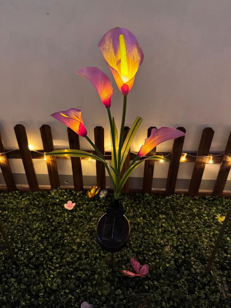 A single vibrant orange and pink calla lily flower is illuminated by a solar-powered LED light in a garden setting.