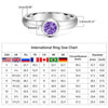 Interchangeable Birthstone Ring with 12 Zircon Stones