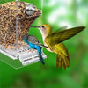 Acrylic no-mess bird feeder and waterer with seeds and water for small to medium parakeets