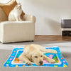 A yellow Labrador puppy is lying on a blue inflatable water play mat with colorful toys.