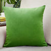 Velvet Throw Pillow Cover for Sofa and Bed Decor