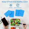 Reusable Flexible Ice Pack for Cooler Bags and Lunchboxes