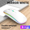 Souris sans fil ergonomique avec éclairage RGB