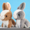 A pair of mini plush bunny toys, one brown and white, and one gray and white, sitting on a surface against a blue sky backgro