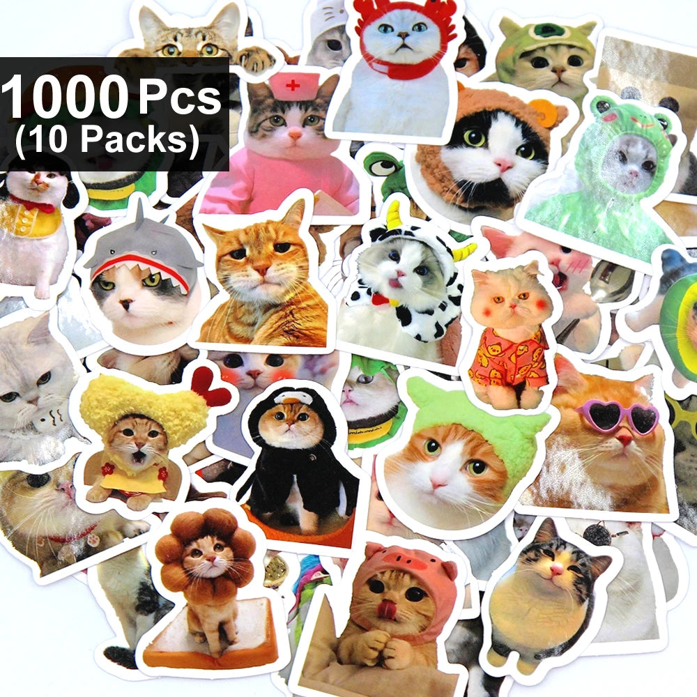 Funny Cat Sticker Pack for Laptops, Water Bottles & More