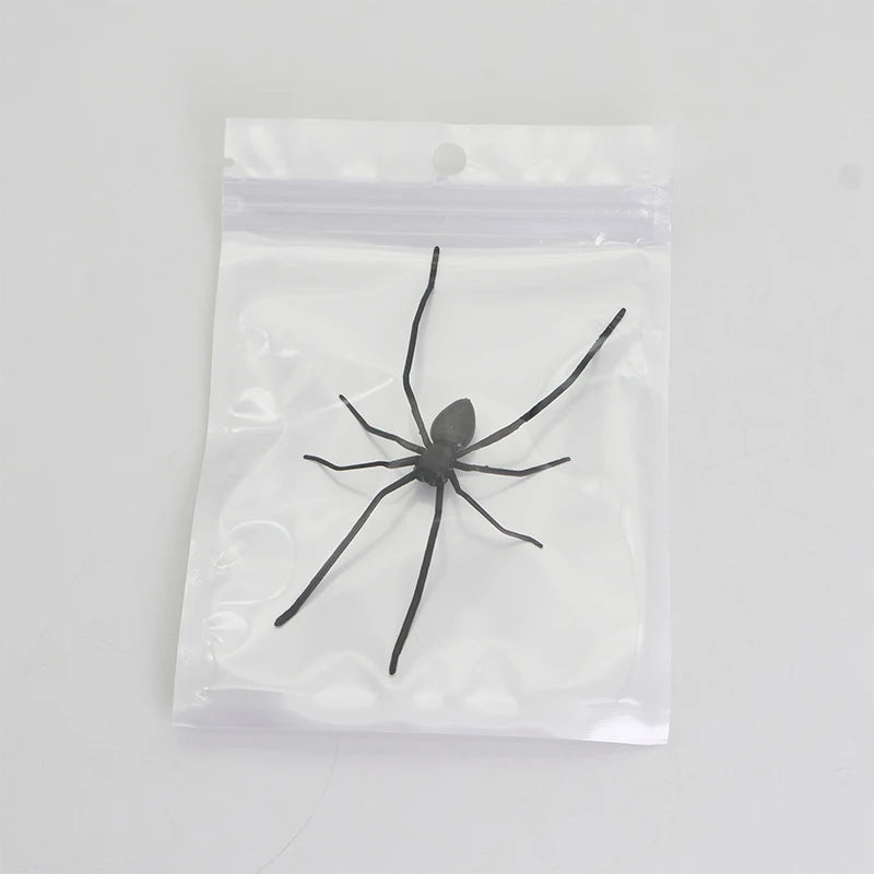 Une araignée noire scellée dans un sac plastique transparent, prête à être utilisée comme aimant de réfrigérateur.