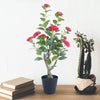 Árbol Topiario de Camelia de 85 cm con Maceta Decorativa