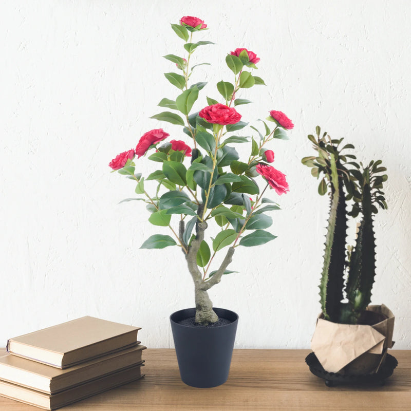 Árbol Topiario de Camelia de 85 cm con Maceta Decorativa
