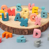 Wooden Lacing Beads Set for Kids with Animal, Fruit, Letter & Number Shapes